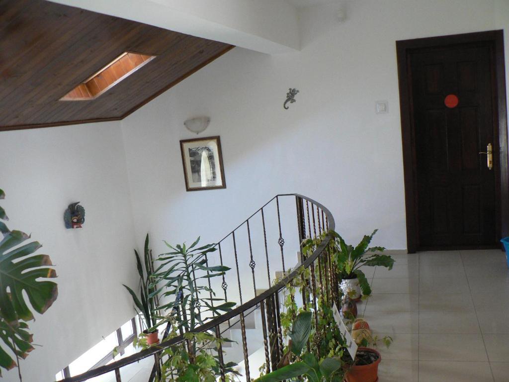 Casa Havana (Adults Only) Costinesti Esterno foto
