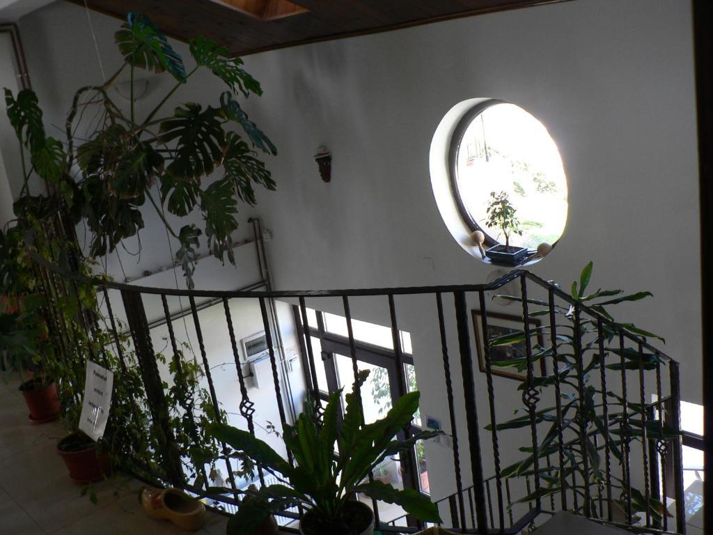 Casa Havana (Adults Only) Costinesti Esterno foto