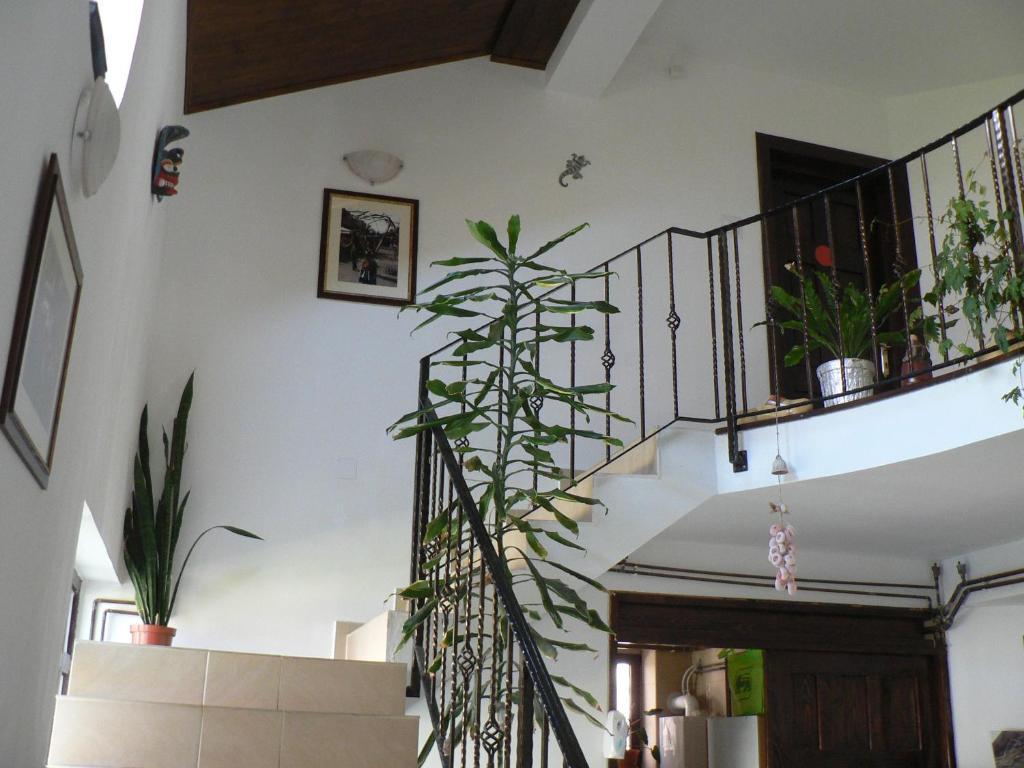 Casa Havana (Adults Only) Costinesti Esterno foto