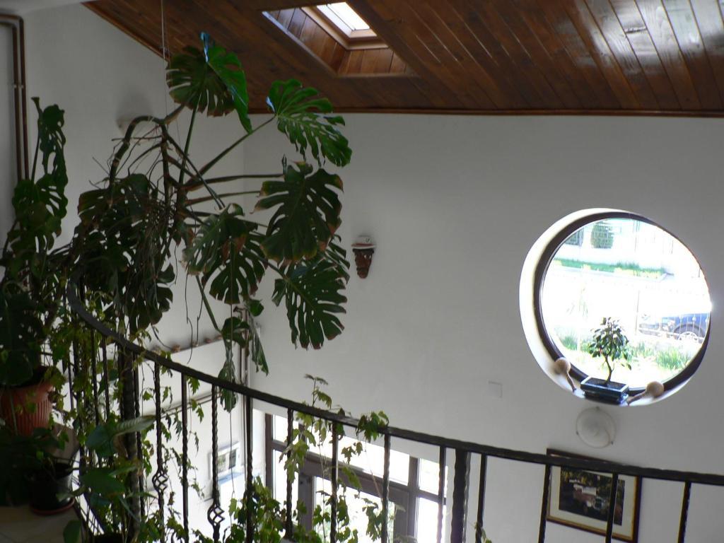 Casa Havana (Adults Only) Costinesti Esterno foto