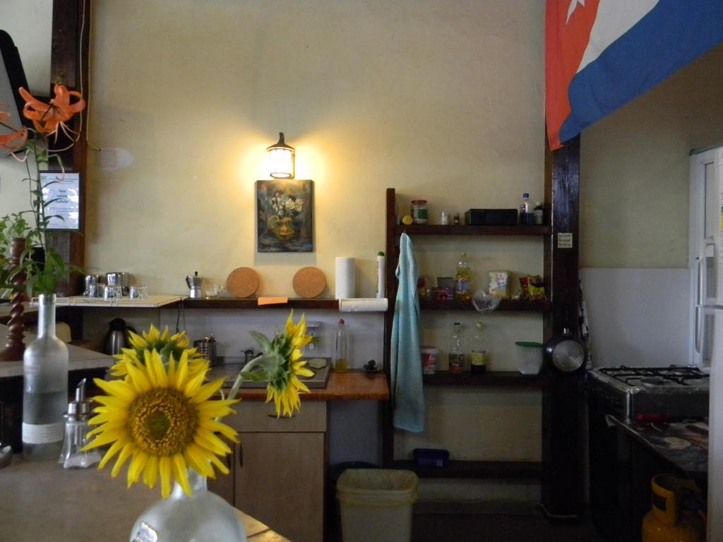 Casa Havana (Adults Only) Costinesti Esterno foto